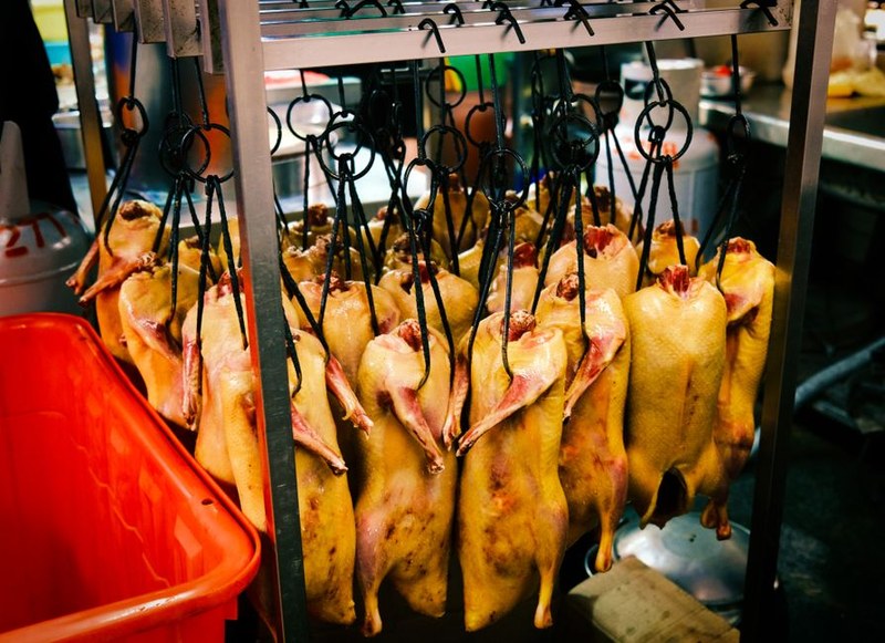 Magret de canard